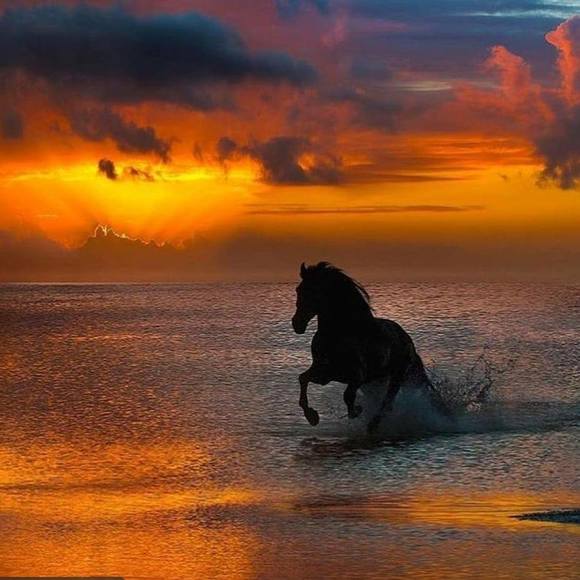 Meet your Posher, Moez - Picture 1 of 1